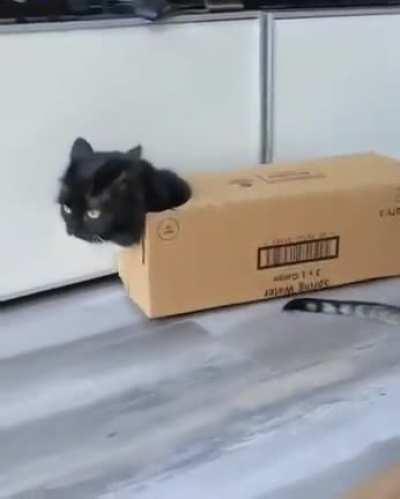 Kirara gameplay footage leaked