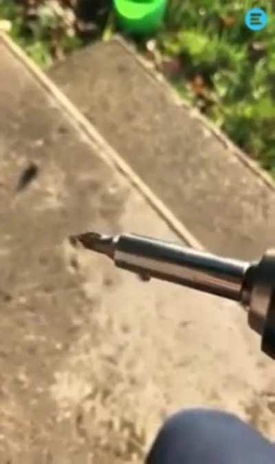 Hang in there, buddy