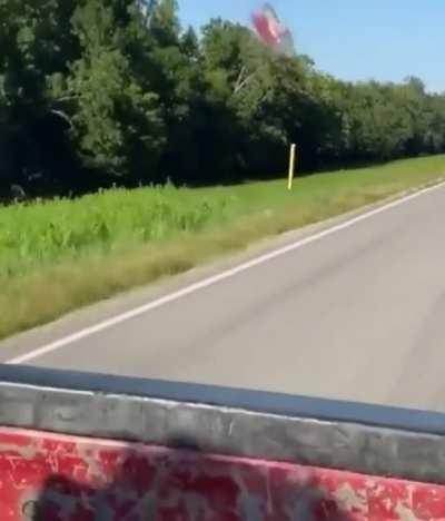 Physics… how… just… how