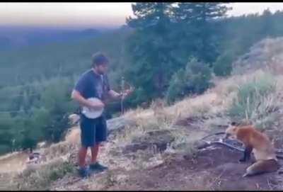 Been playing this game wrong…