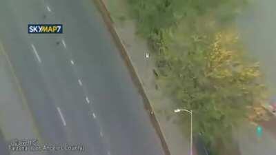 Drunk Los Angeles woman steals an RV and gets into a police chase, to the disappointment of her dogs