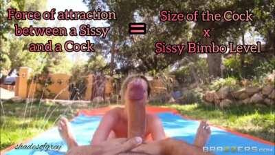 Sissy's Law Of Attraction