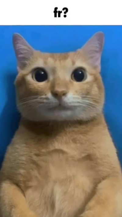 Fr?frbrerr?fiberfrenemw?