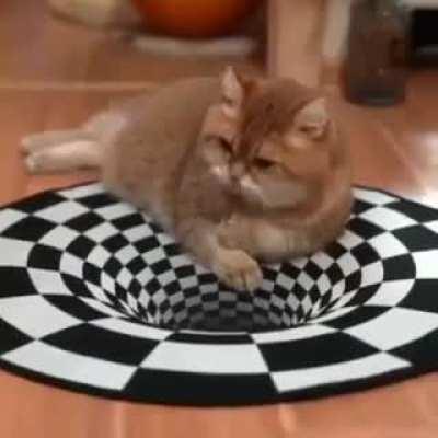 How animals deal with the unknown void