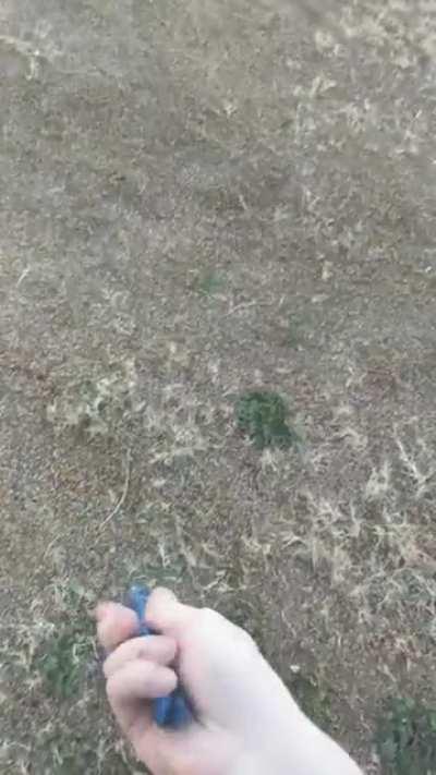 Nearly lost a finger