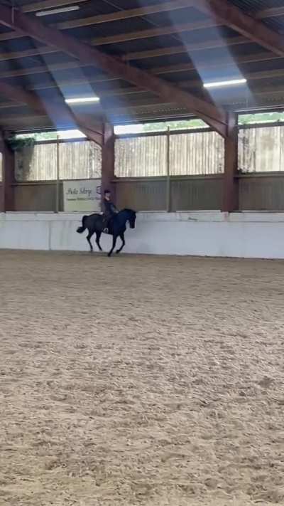 Anyone who has been following Dobi and I for a while will understand how much of an achievement this lesson was for us 🥹