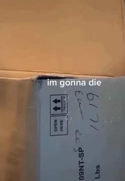 Rumor has it that he still jumps