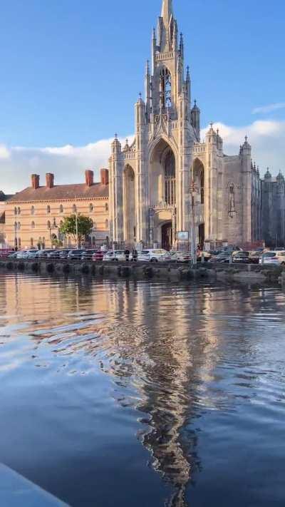 Dolphins in the Lee 🐬