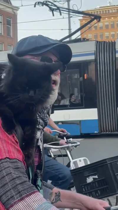 Caught cycling around Amsterdam with Klook, my shoulder cat.