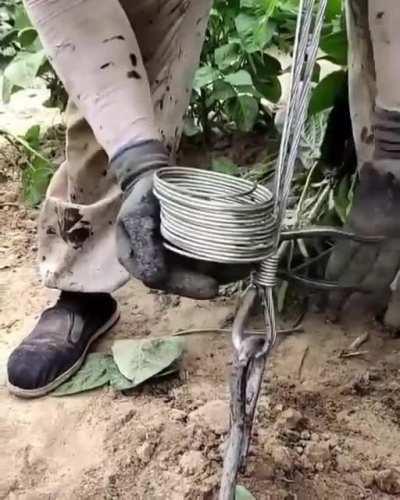 Когда быстренько вкачал интеллект