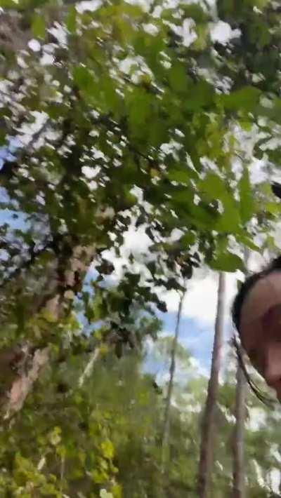 Riding in the Woods with my Top Up