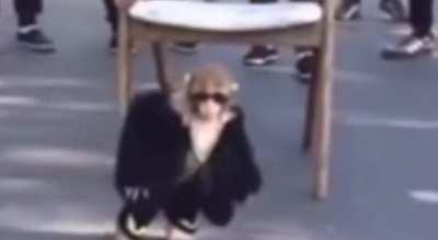 After the huge feedback from the last video the King of amc hype is back with a certified banger! Turn that volume up and enjoy 😈🔥