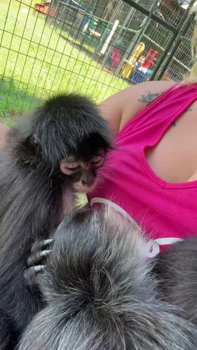 Checking for boob sweet? 😂