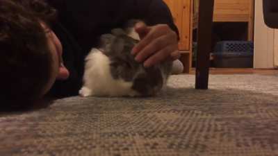 Our little guy loves him some deep pets 🥰