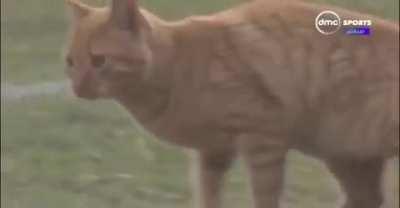 The most honest moment in the history of television