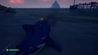 Rare Landshark sighting, these spawn rates are ridiculous