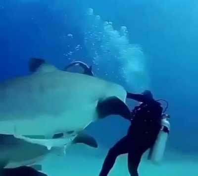 Too close for comfort