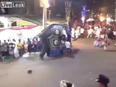 A different kind of bull