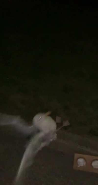 Got banned from tiktok for this