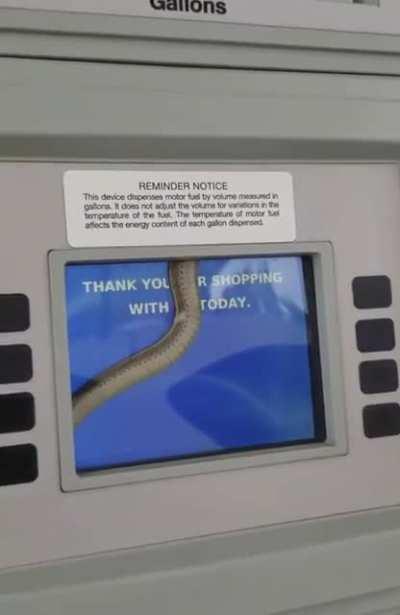 Пожалуй в следующий раз заправлюсь