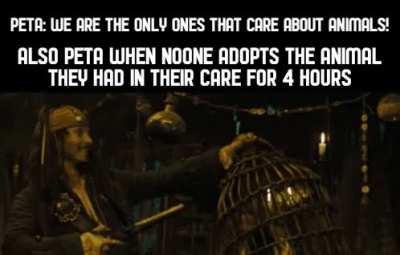 QUARTERFINALS - Duel 3/4 | u/bakedwaffles12 | Upvote your favourite!