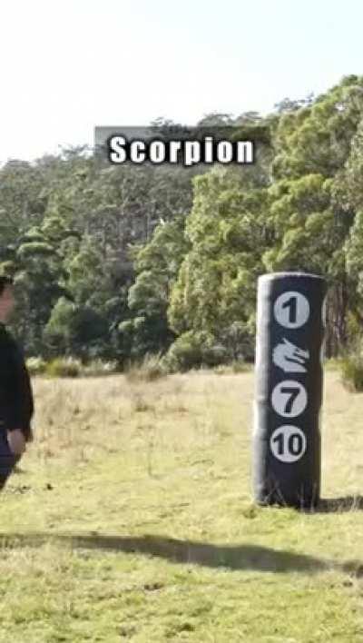 The panther attack was sleek AF