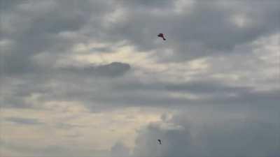 Experimental Russian VTOL drone built around a Vepr-12 semi-automatic shotgun by Almaz-Antey