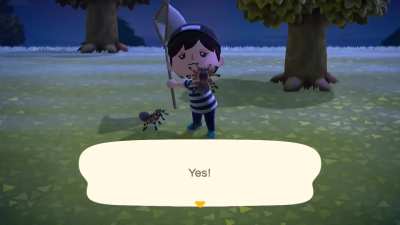 Did this tarantula call backup on me??