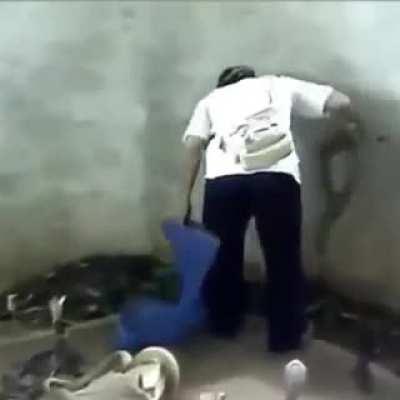 Dealing with snakes situation 101.