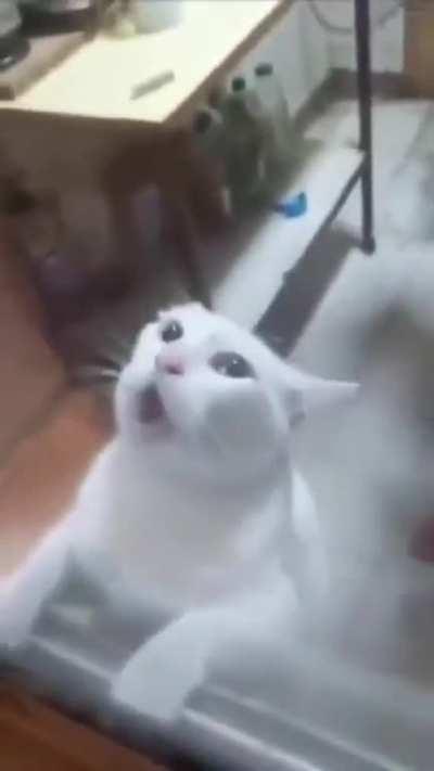 you only had one job