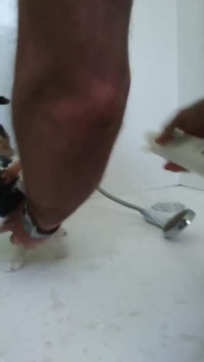 Oh precious memories