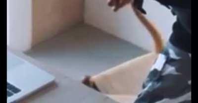 Scarlxrd but no context