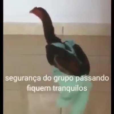 Ele deve ser um bom segurança