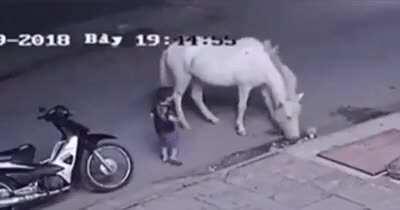 Phew, close call. Oh wait.