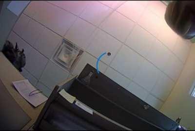 After killing a woman and leaving her child motherless, this guy calls the police seeking sympathy, because “my 8 year old could be teased at school.” Unbelievable.