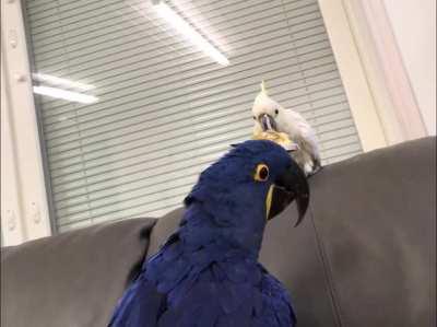 Isn't it nice? Do you like it? Do you want it? YOU CANT HAVE IT!