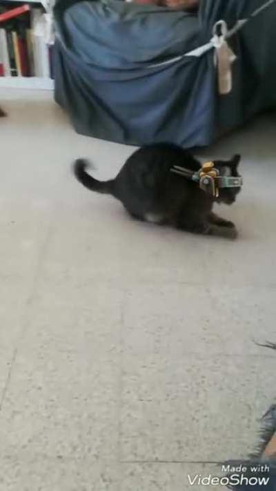 what I do in the lobby