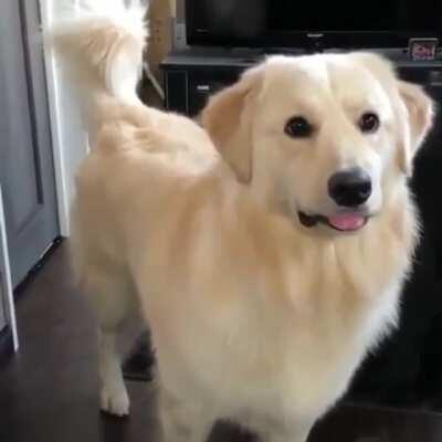 After 3 months checking out the module you introduced