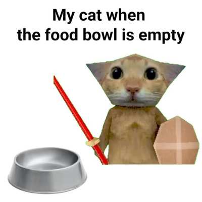 My cat when the food bowl is empty