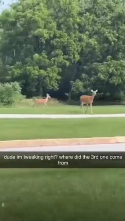 My brain hurts after watching this