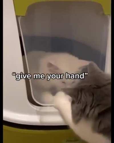 One of those push pull situations with public doors