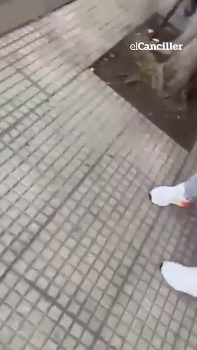 Un policía retirado le disparó a su vecino en Lomas del Mirador por tener el volumen de la música muy alto.