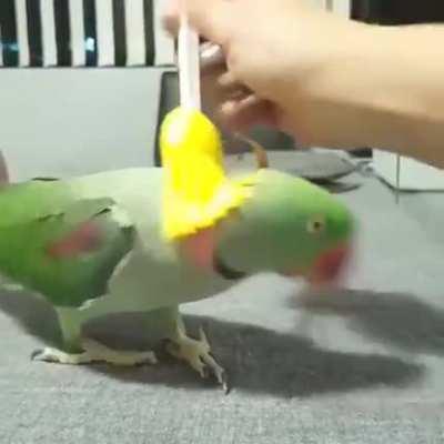 What are you doing?!?