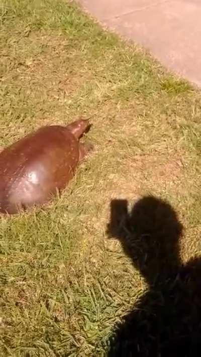 My whole life is a lie :(