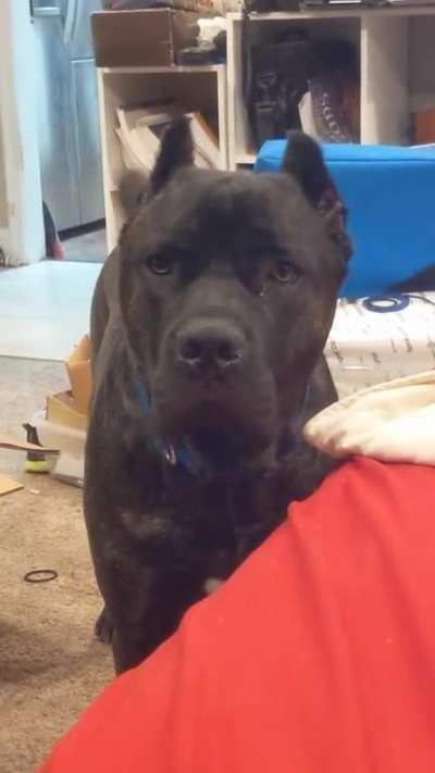 Microborks for attention