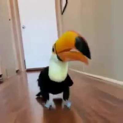 Ela não anda, ela desfila...