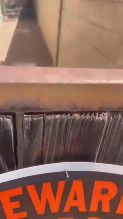 I did not expect that, I was not disappointed. LOL