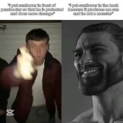 Sunflower is to innocent to see horrible zombies