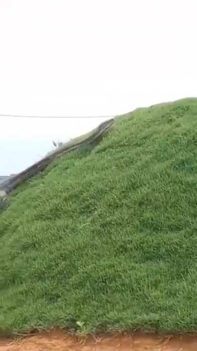 What are you doing in this situation?