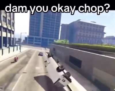Dam you okay chop